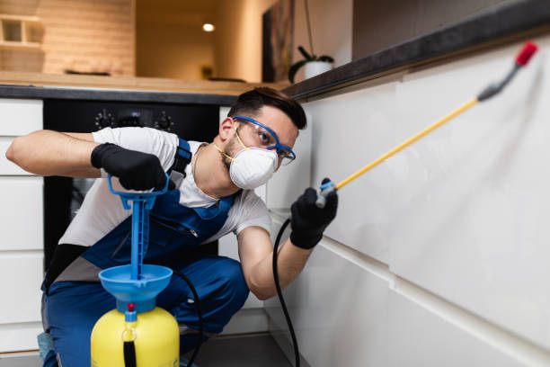 Reliable Rancho Murieta, CA Pest Control Solutions