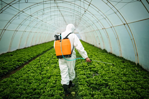 Best Pest Prevention Services  in Rancho Murieta, CA