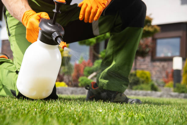 Best Pest Control Near Me  in Rancho Murieta, CA