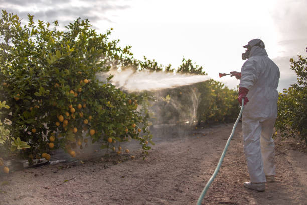 Best Cockroach Control Services  in Rancho Murieta, CA