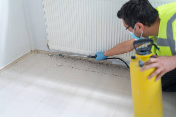 Pest Prevention Services in Rancho Murieta, CA
